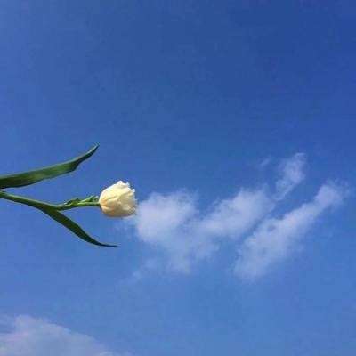 七国手游变态版下载