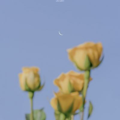 仙凡传说手游(暂未上线)v1.0.0 官方安卓版